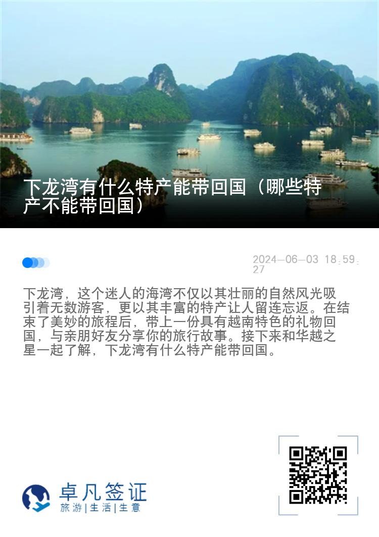 下龙湾有什么特产能带回国（哪些特产不能带回国）