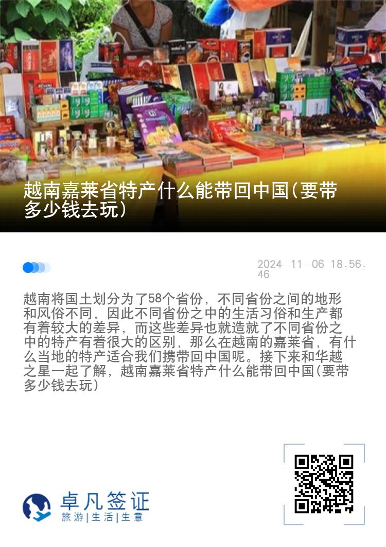 越南嘉莱省特产什么能带回中国(要带多少钱去玩)