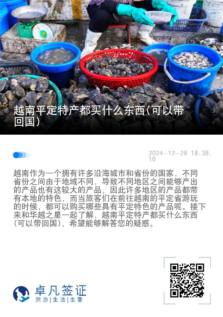 越南平定特产都买什么东西(可以带回国)